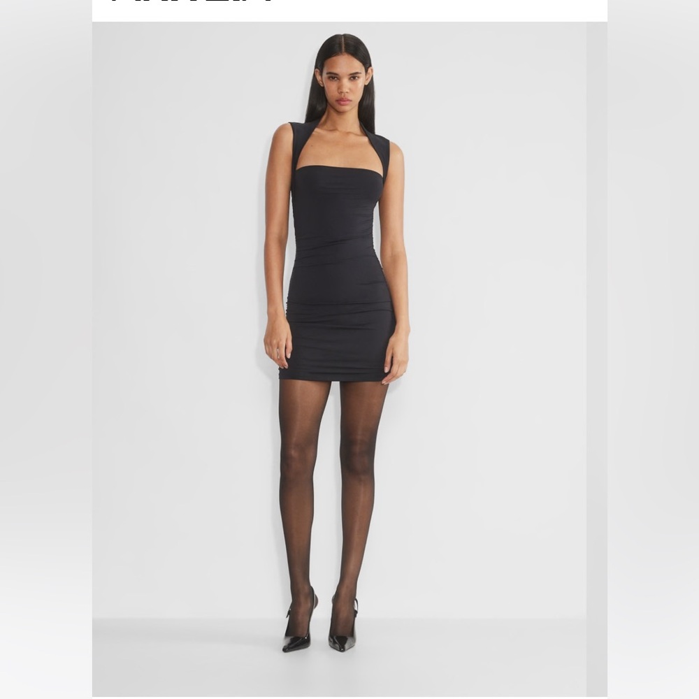 Aritzia Dress